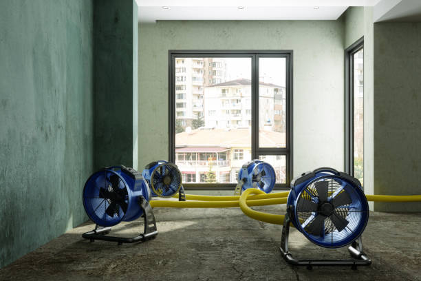 Professional Water damage restoration in Mclean, TX